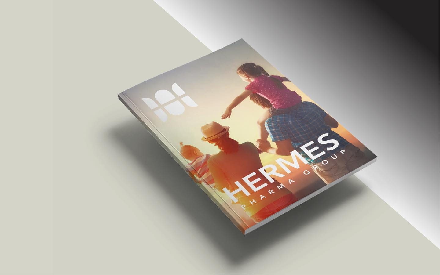 Hermes Pharma Group brand system, detail 2